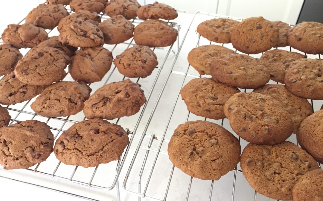 Double Chocolate Chip Gluten-Free Cookies (Gluten, Dairy, Egg and Refined-Sugar Free)